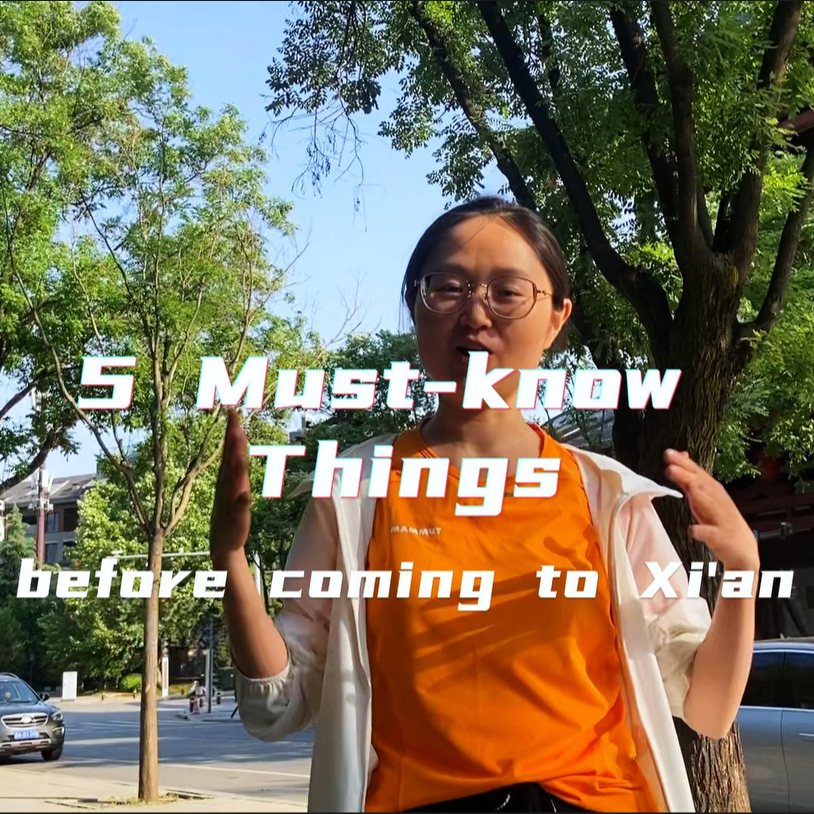 Explore Xi’an Like a Local